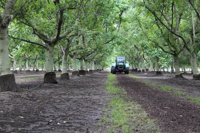 New Pesticide Laws & Regs Now Taking Effect in California
