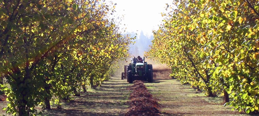 Organic Hazelnut Farms Showcased in Upcoming Tour