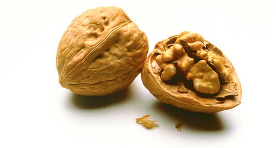 walnuts genome
