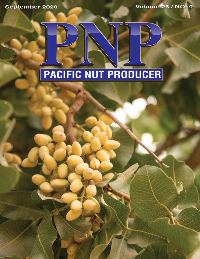 Read – September 2020 Issue