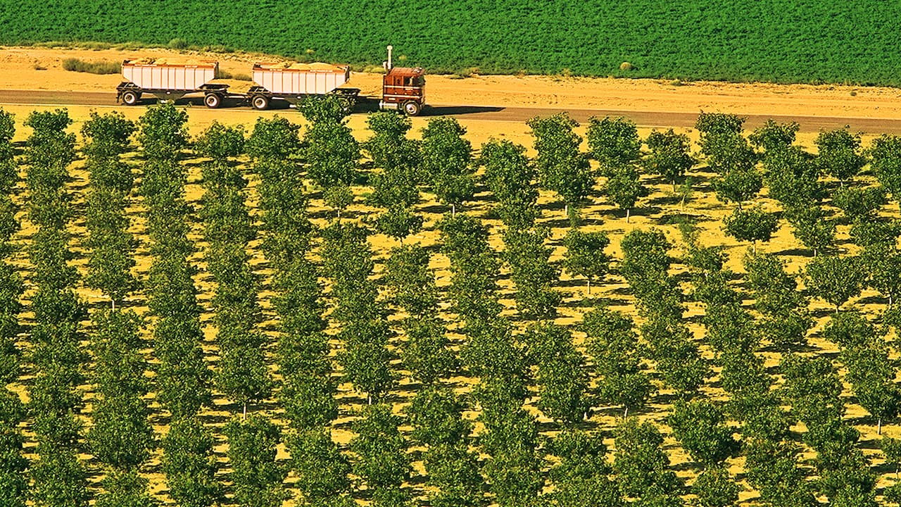 Satellite Imagery Reveals Startling Difference in Pistachio Bearing Acreage