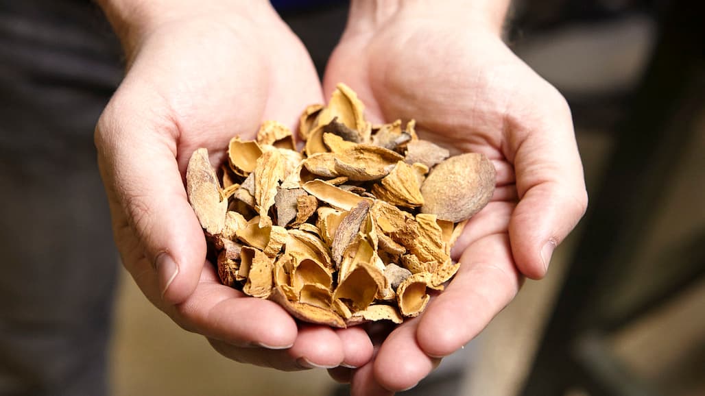 FARM Act Funding for Pilot Programs to Produce Biocarbon Products from Tree Nuts
