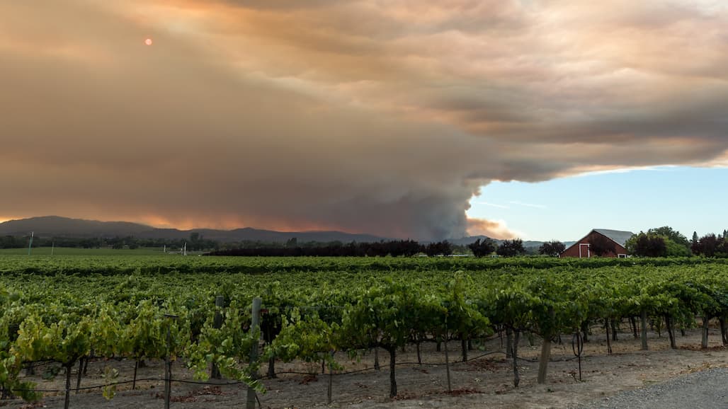 Washington Issues Rules to Protect Farm Workers from Wildfire Smoke