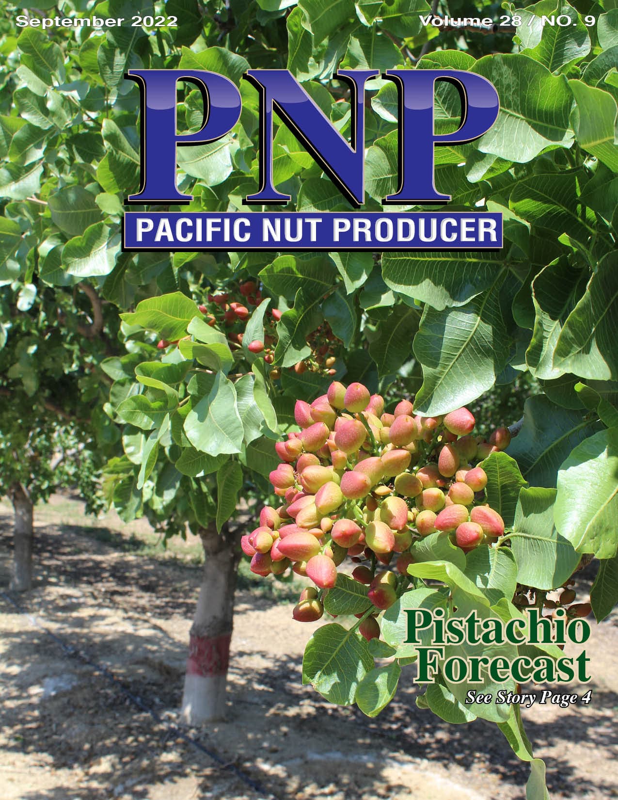 Read – September 2022 Issue
