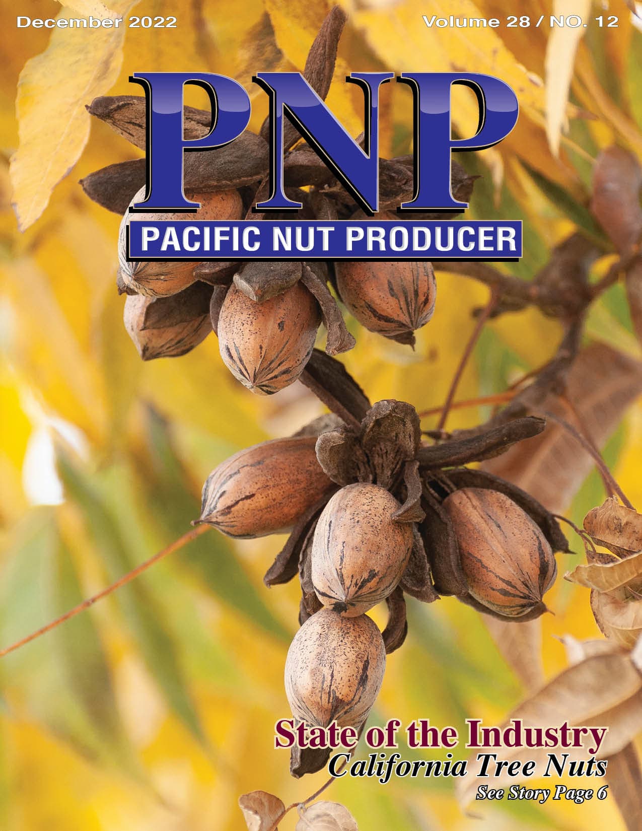 Read – December 2022 Issue