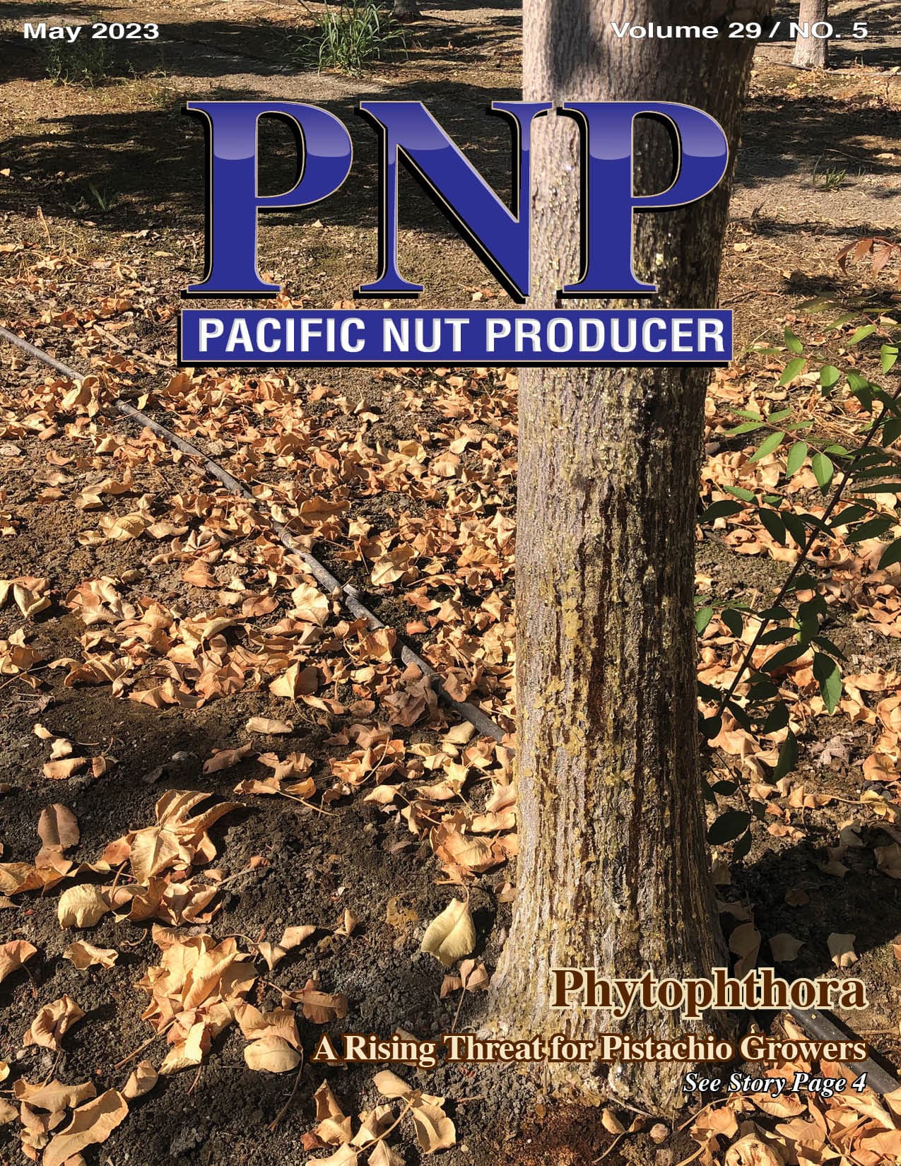 Read – May 2023 Issue