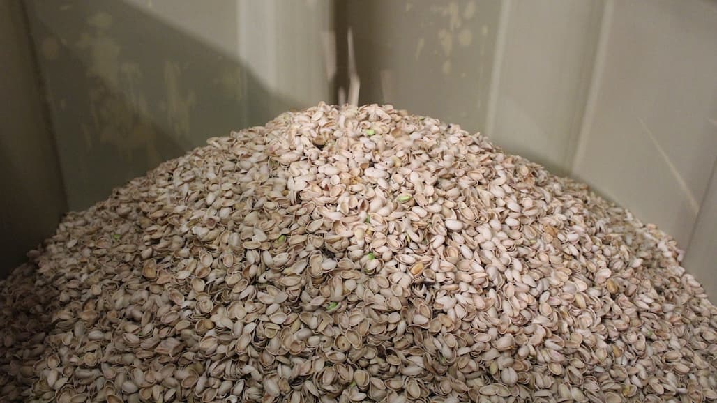 Turning Food Scraps into Opportunities