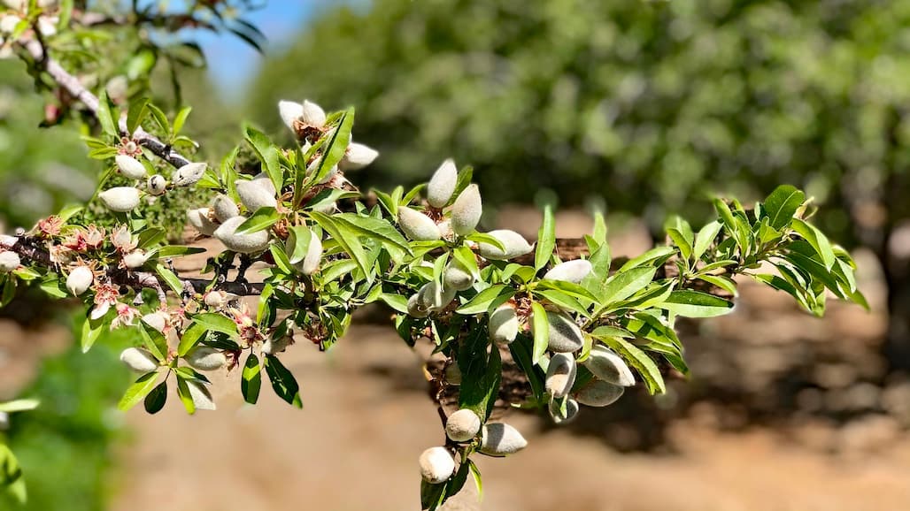 Smarter, Science-Based Nutrition to Optimize Your Yield and Quality