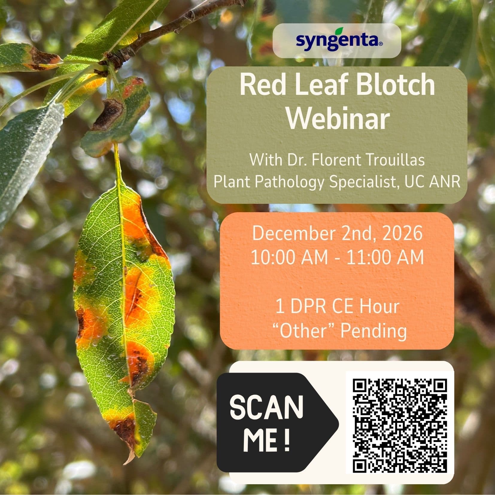 Syngenta Red Leaf Blotch Webinar with Dr. Florent Trouillas