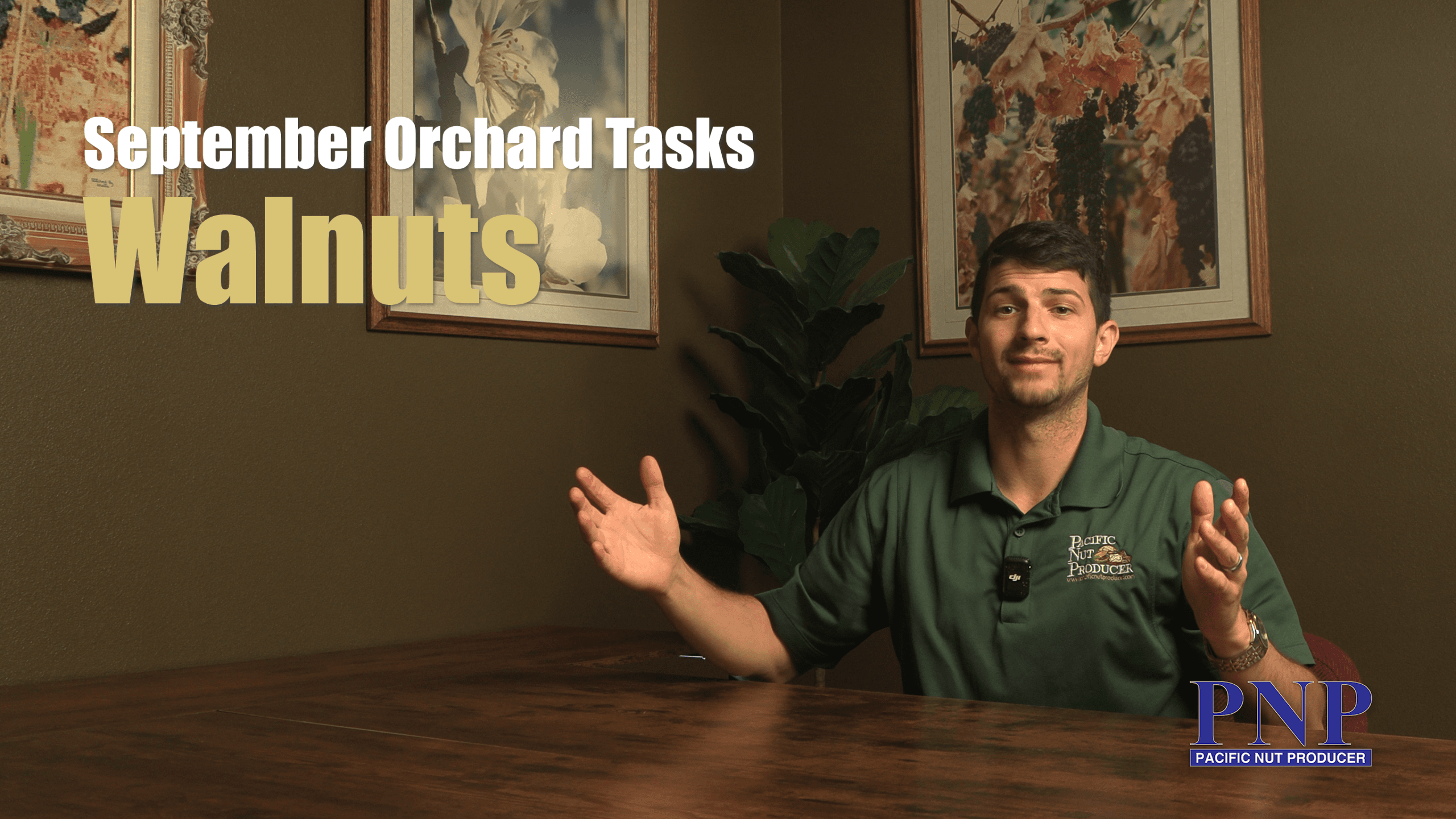 September Orchard Tasks - Walnuts